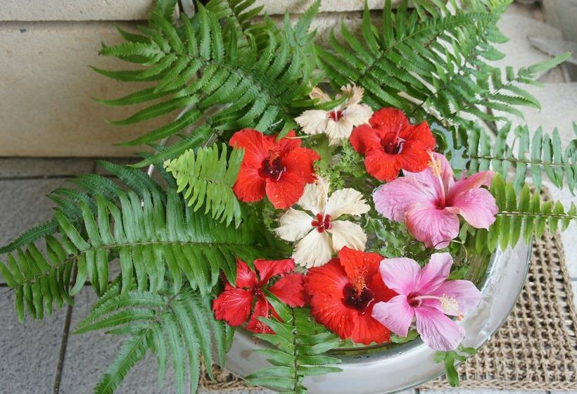 Пансион Villa Hirugi