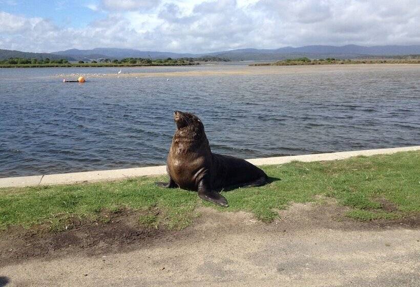 호텔 Mallacoota's Shady Gully Caravan Park