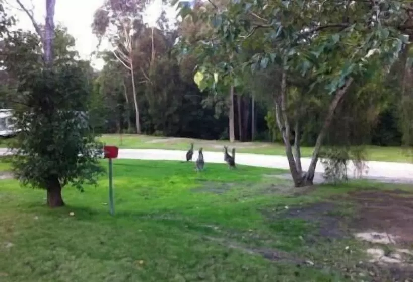 ホテル Mallacoota's Shady Gully Caravan Park