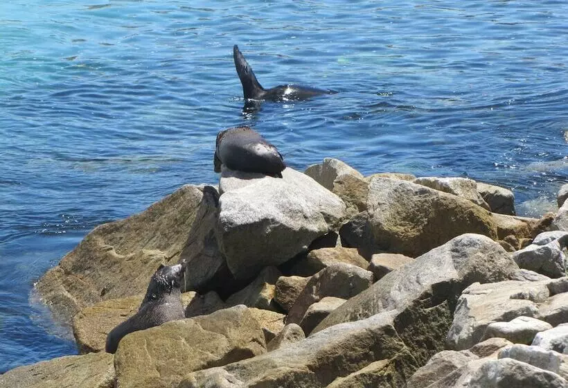 Top Of The Town Motel Narooma