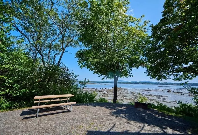 ホテル Narrows Too Camping Resort