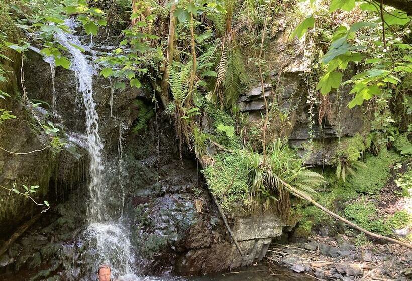 בית מלון כפרי 4 Large Bell Tents & Remote Wood Cabin Sleeps 16