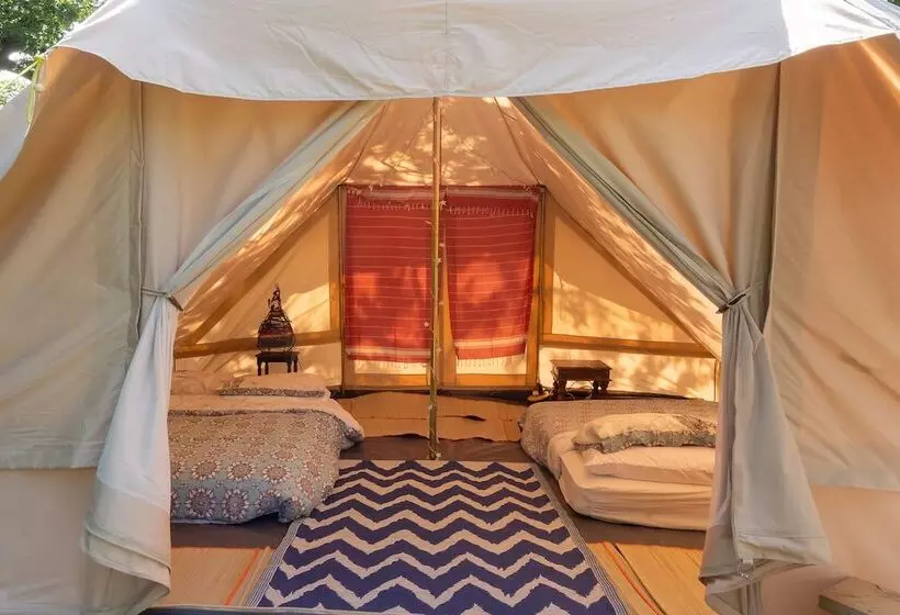 ホテル 4 Large Bell Tents & Remote Wood Cabin   Sleeps 16