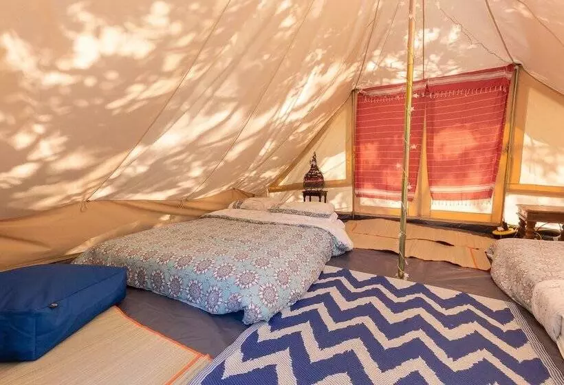 ホテル 4 Large Bell Tents & Remote Wood Cabin   Sleeps 16
