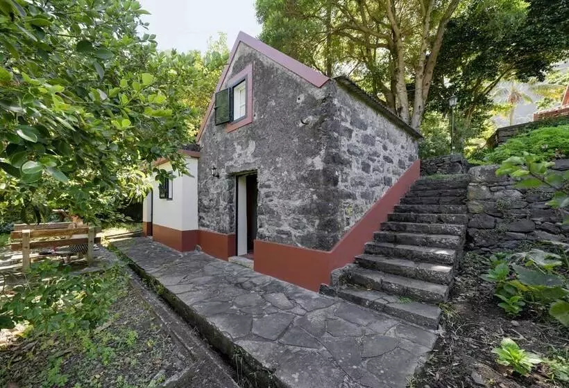 In Laurissilva Forest, Casa Do Lanço   Carvalho