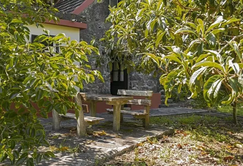 In Laurissilva Forest, Casa Do Lanço   Carvalho