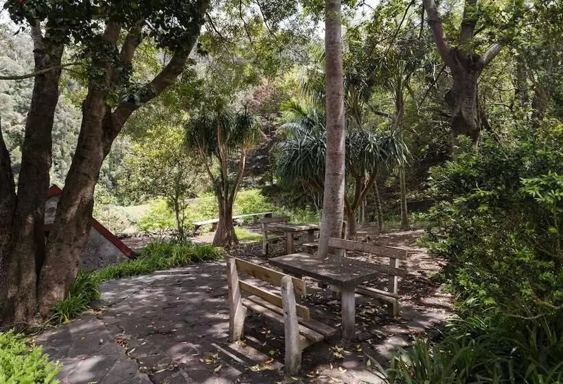 In Laurissilva Forest, Casa Do Lanço   Carvalho