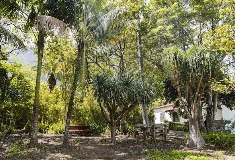 In Laurissilva Forest, Casa Do Lanço   Carvalho