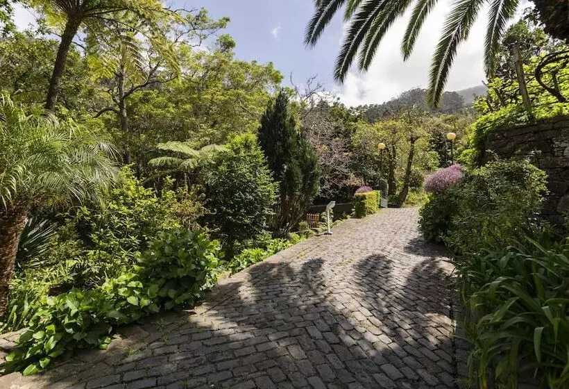In Laurissilva Forest, Casa Do Lanço   Carvalho