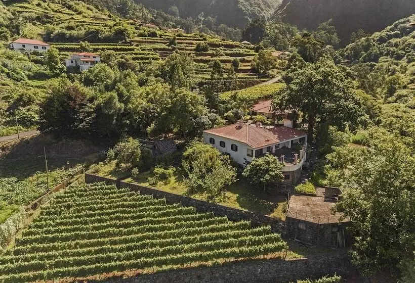 In Laurissilva Forest, Casa Do Lanço   Carvalho