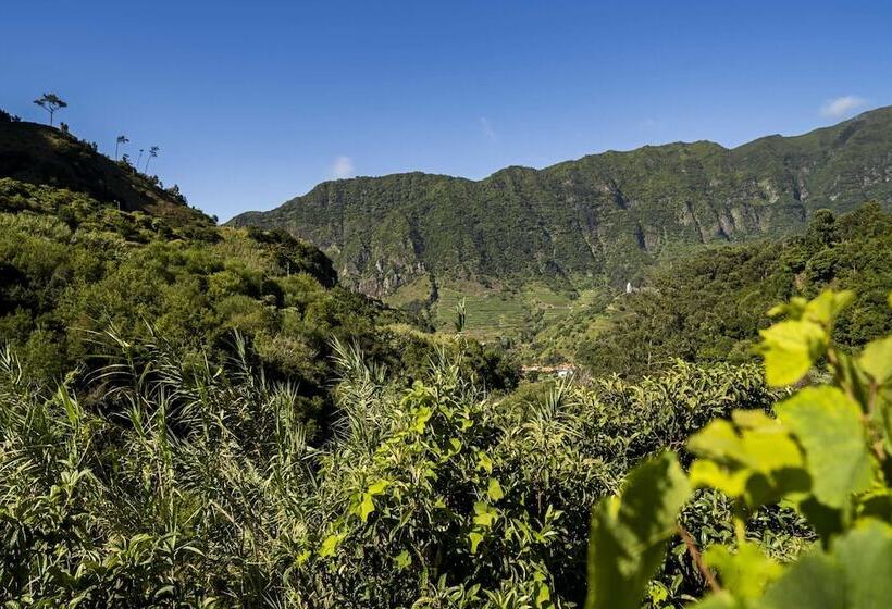 In Laurissilva Forest, Casa Do Lanço Carvalho