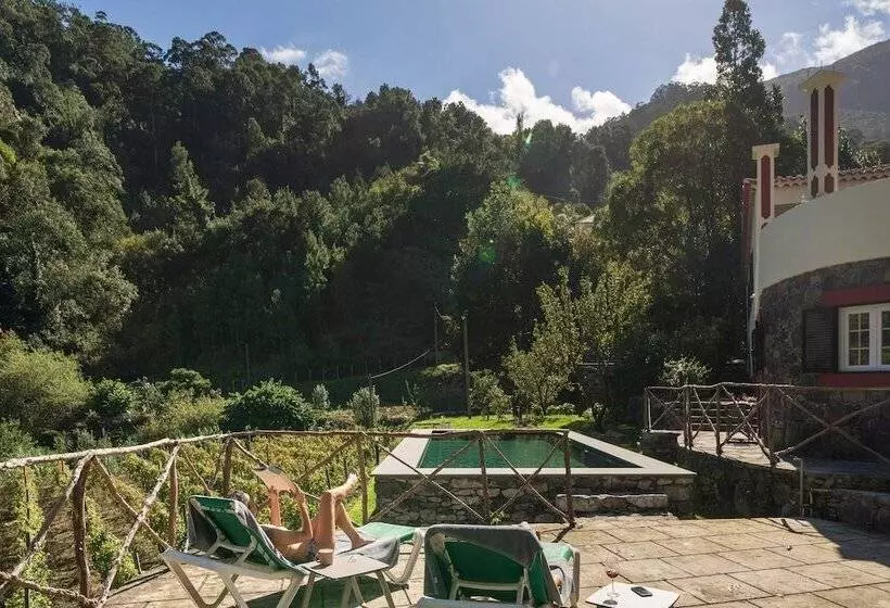 In Laurissilva Forest, Casa Do Lanço   Carvalho