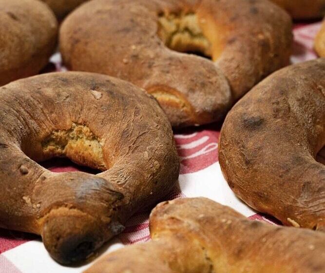 In Laurissilva Forest, Casa Do Lanço Carvalho