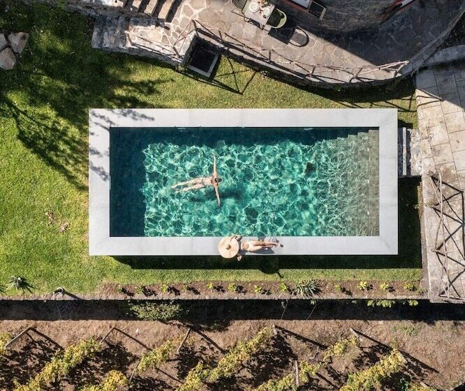 In Laurissilva Forest, Casa Do Lanço Carvalho