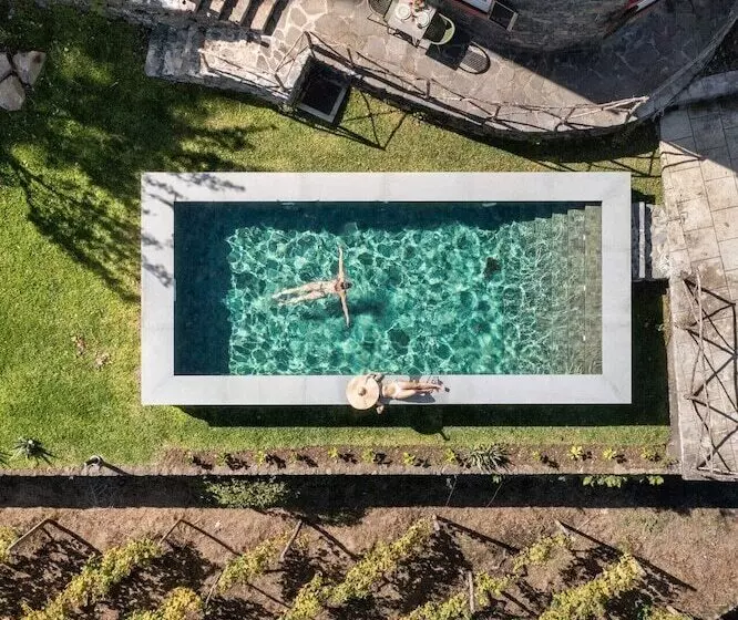 In Laurissilva Forest, Casa Do Lanço   Carvalho