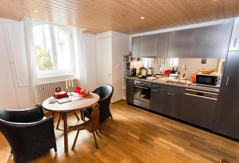 Luxury Apartments Justingerweg Bern