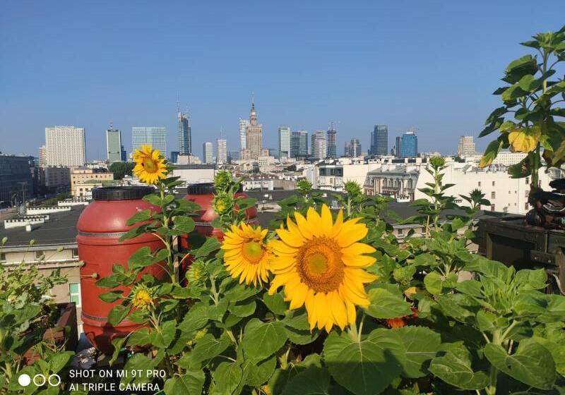 تختخواب و صبحانه Chopin Boutique