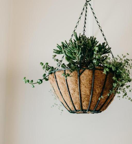 Cottage Pie By Robberg