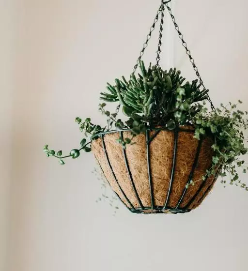 Cottage Pie By Robberg