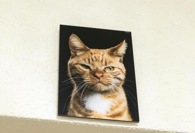 בית מלון כפרי Birsighof Basel City Center