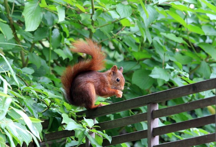 בית מלון כפרי Birsighof Basel City Center