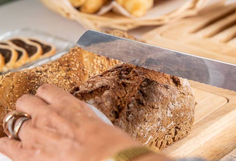 בית מלון כפרי Birsighof Basel City Center