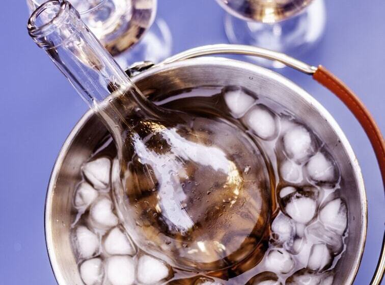 בית מלון כפרי Birsighof Basel City Center