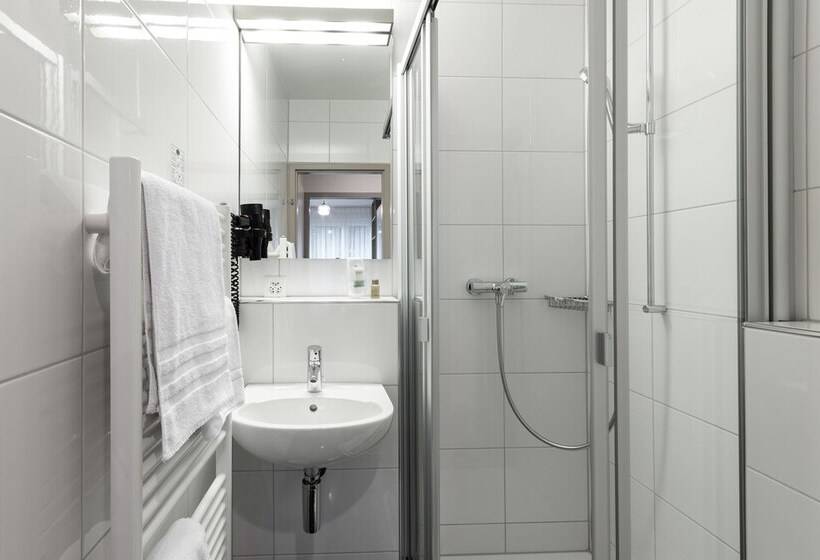 בית מלון כפרי Birsighof Basel City Center