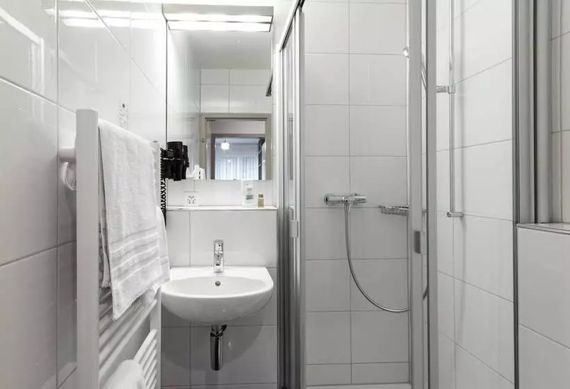 Hotel Birsighof Basel City Center