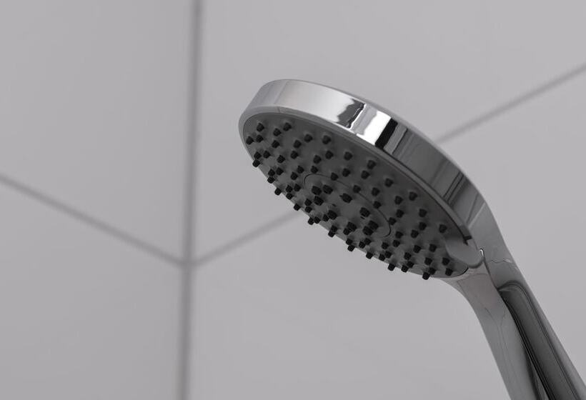 בית מלון כפרי Birsighof Basel City Center