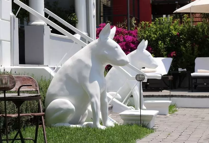 Dysart Boutique Hotel   Solar Power