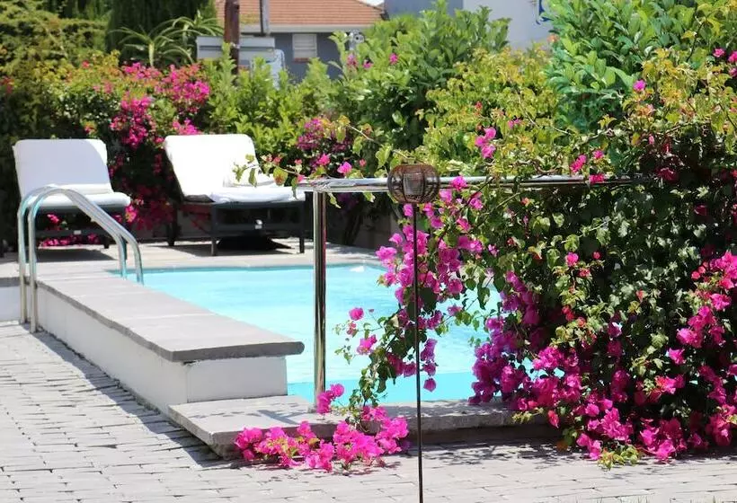 Dysart Boutique Hotel   Solar Power