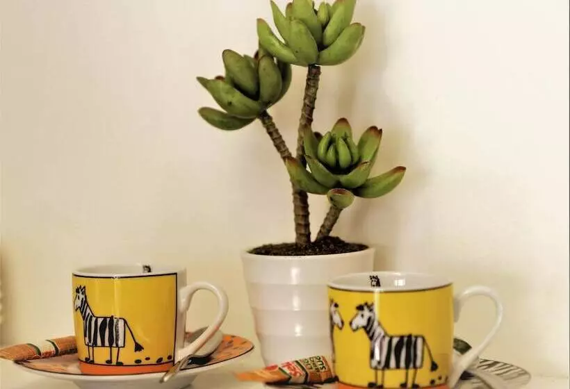 Dysart Boutique Hotel   Solar Power