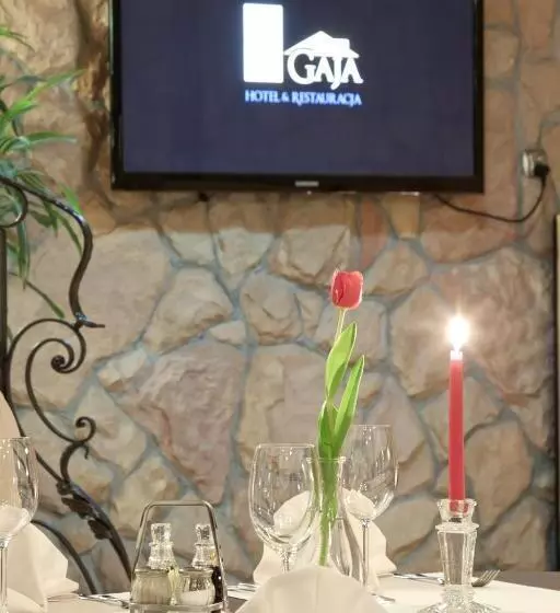 Отель Gaja