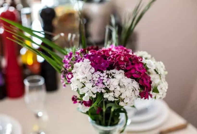 Hotelli Istanbul Garden Suite