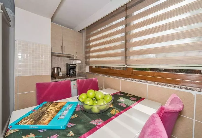 Hotelli Istanbul Garden Suite