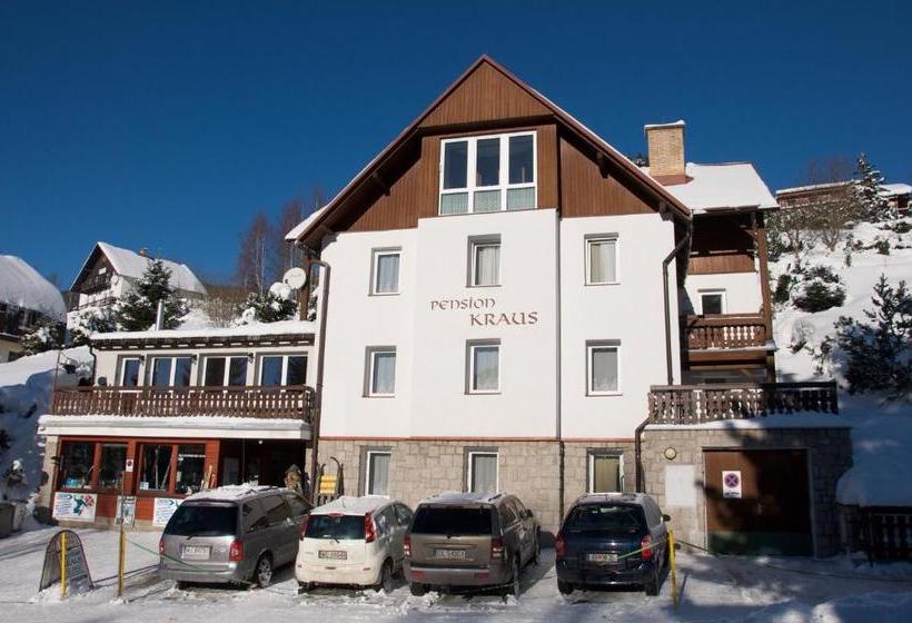 Отель Pension Kraus