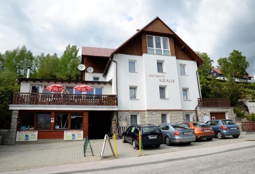 Отель Pension Kraus