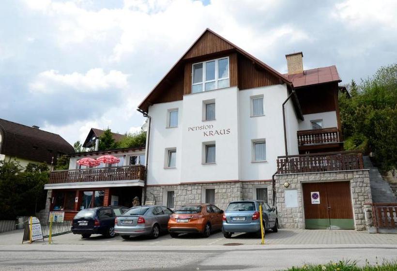 Отель Pension Kraus
