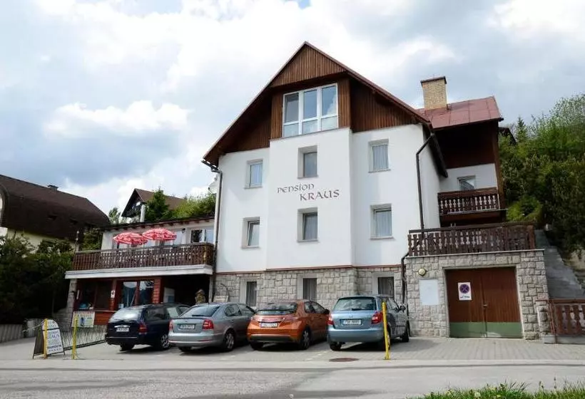 هتل Pension Kraus