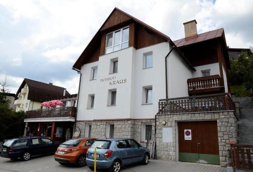 Отель Pension Kraus