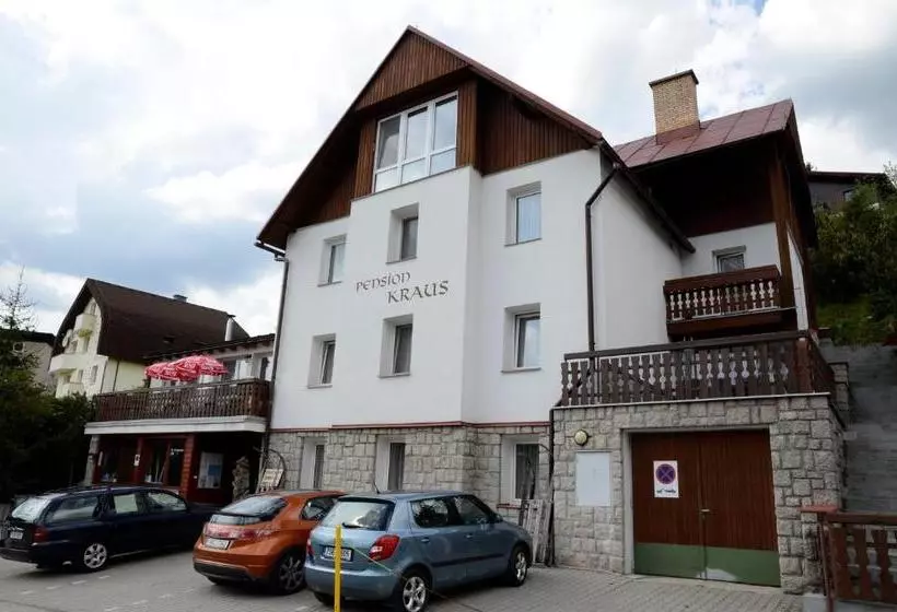 هتل Pension Kraus