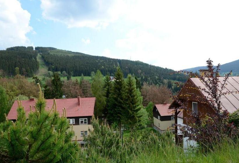 Отель Pension Kraus