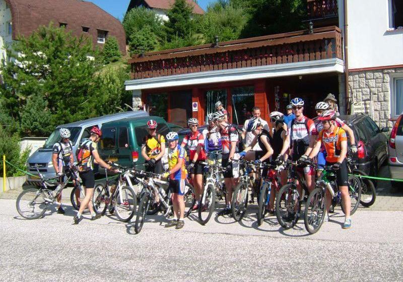 Отель Pension Kraus