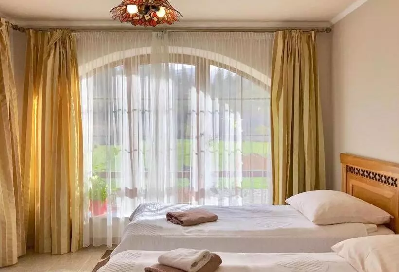 ホテル Willa Wisienka