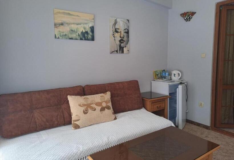 ホテル Willa Wisienka