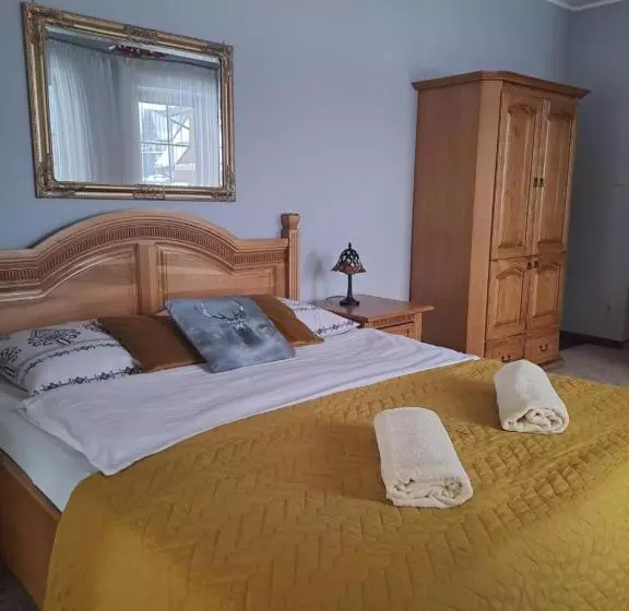 ホテル Willa Wisienka