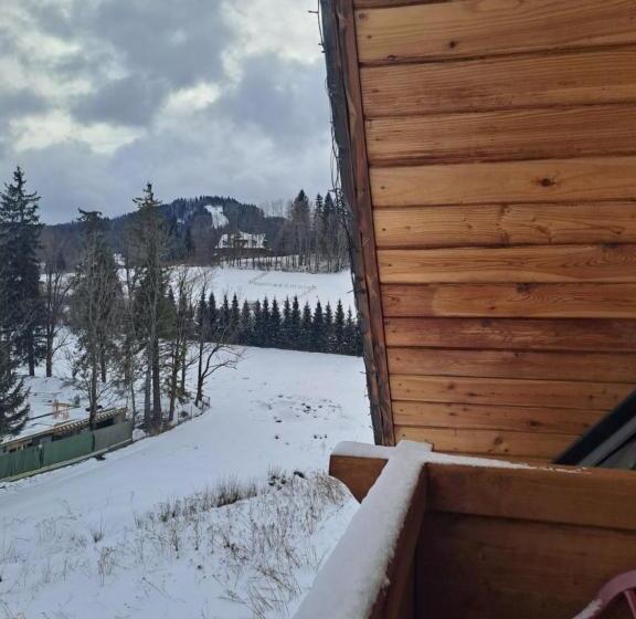 ホテル Willa Wisienka