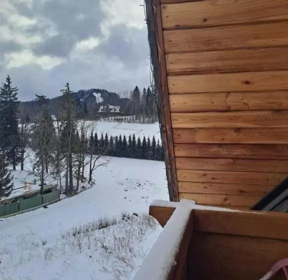 ホテル Willa Wisienka