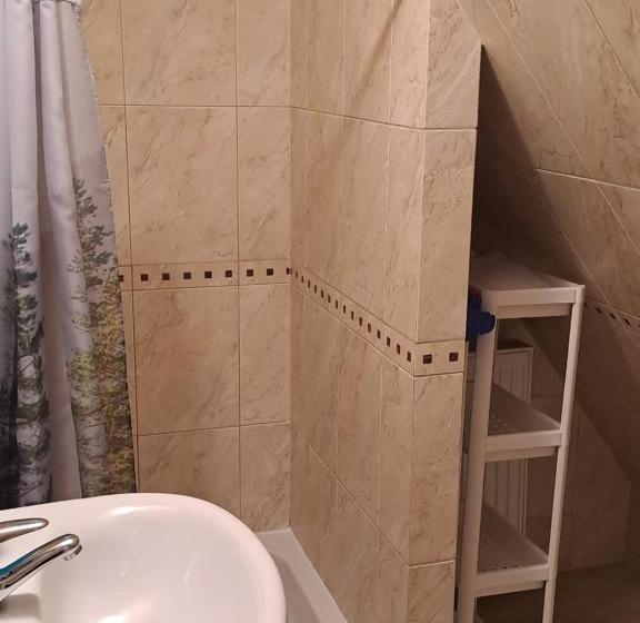 ホテル Willa Wisienka